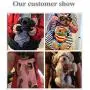 YINGJEE Dog Carrier Legs Out Front Pet Carrier Backpack Adjustable Puppy Cat Small Bag with Shoulder Strap and Sling for Traveling Hiking Camping Outdoor YINGJEE Dog Carrier Legs Out Front Pet Carrier Backpack Adjustable Puppy Cat Small Bag with Shoulder Strap and Sling for Traveling Hiking Camping Outdoor