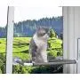 OneManProject Cat Window Perch,Cat Hammock with 4 Suction Cups Space Saving Kitty Resting Seat on Window Sunbath Holds Up to 40 lbs for Any Cat Size OneManProject Cat Window Perch,Cat Hammock with 4 Suction Cups Space Saving Kitty Resting Seat on Window Sunbath Holds Up to 40 lbs for Any Cat Size