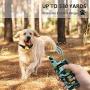 Peteme Dog Training Collar with Remote, Dog Shock Training Collar Rechargeable with Beep/Vibration/16 Shock Levels,100% Waterproof, 1200ft Remote Trainer Range Collar for Small Medium Large Dogs…