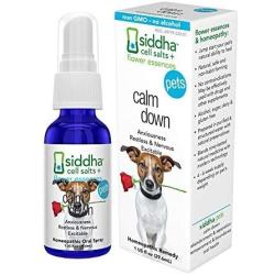 Siddha Remedies Calm Down for Pets | Natural Homeopathic Remedy Calms Dogs, Cats, Furry Pets | Naturally Calms Excitable, Restless Pets in Stormy Weather | Supports Stronger Health