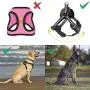 WINSEE Dog Harness and Collar Set for Large Dogs Black, Reflective Adjustable Step in Dog Halter Harnesses no Pull with Cobra Buckle Dog Collar Heavy Duty, Soft Padded Pet Vest Walking Harness WINSEE Dog Harness and Collar Set for Large Dogs Black, Reflective Adjustable Step in Dog Halter Harnesses no Pull with Cobra Buckle Dog Collar Heavy Duty, Soft Padded Pet Vest Walking Harness
