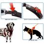 Ferplast Blue Ergocomfort Dog Harness, Medium