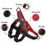 Beirui No Pull Escape Proof Dog Harness for Small Medium Large Dogs - Soft Padded Reflective Medium Dog Walking Harnesses (Black,M) Beirui No Pull Escape Proof Dog Harness for Small Medium Large Dogs - Soft Padded Reflective Medium Dog Walking Harnesses (Black,M)