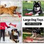 JOYDODY Dog Chew Toys for Aggressive Chewers | Dog Bone Toothbrush Stick for Large Dog Chew Toys & Puppy Dog Toys - Durable Natural Rubber Pet Chews Toy (Beef Flavor)