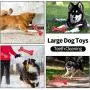 JOYDODY Dog Chew Toys for Aggressive Chewers | Dog Bone Toothbrush Stick for Large Dog Chew Toys & Puppy Dog Toys - Durable Natural Rubber Pet Chews Toy (Beef Flavor) JOYDODY Dog Chew Toys for Aggressive Chewers | Dog Bone Toothbrush Stick for Large Dog Chew Toys & Puppy Dog Toys - Durable Natural Rubber Pet Chews Toy (Beef Flavor)