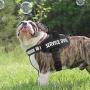 Bolux Service Dog Harness, Easy On and Off Pet Vest Harness - 3M Reflective Anti Pulling Tugging Choking Pet Halters with Nylon Handle for Small Medium Large Dogs