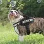 Bolux Service Dog Harness, Easy On and Off Pet Vest Harness - 3M Reflective Anti Pulling Tugging Choking Pet Halters with Nylon Handle for Small Medium Large Dogs Bolux Service Dog Harness, Easy On and Off Pet Vest Harness - 3M Reflective Anti Pulling Tugging Choking Pet Halters with Nylon Handle for Small Medium Large Dogs