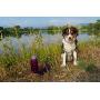 OllyDog OllyBottle and Crumple Food Bowl Combo, Travel-Friendly, Portable Dog BPA Free Water Bottle and Collapsible, Foldable, Expandable Bowl for Dog Food and Treats, for Big Hikes or Long Trips