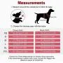 ThinkPet No Pull Harness Breathable Sport Harness - Escape Proof/Quick Fit Reflective Padded Dog Safety Vest with Handle Back/Front Clips, Easy for Walking