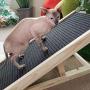 Alpha Paw Cat Ramp & Cat Scratcher, 2 in 1 - Large Sturdy Carpeted Incline Scratchy Ramp - Cat Scratch-Able Furniture, Cat Scratchers For Indoor/Outdoor Cats - Adjustable Height & Replaceable Carpet