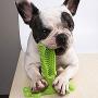 Grenf Durable Dog Chew Toys Dog Toothbrushes can Reduce Plaque and Tartar Toys That can Clean Teeth While Playing Natural and Non-Toxic