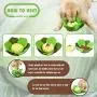AOFITEE Dog Snuffle Mat Pet Feeding Mat Interactive Puzzle Toys, Cabbage Shaped Washable Puppy Training Mats, Encourages Natural Foraging Skills for Cat & Dog AOFITEE Dog Snuffle Mat Pet Feeding Mat Interactive Puzzle Toys, Cabbage Shaped Washable Puppy Training Mats, Encourages Natural Foraging Skills for Cat & Dog