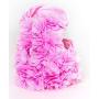 Dashin Dogz Pink Dog Harness and Leash Set for XSmall & Small Breeds Like Chihuahua, Teacups, Yorkys Puppy Harness
