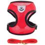 2 Pack Dog Leash Vest Harness Set for Small Medium Dogs Kitten Harness and Leash for Walking Soft Mesh Comfort Fit No Pull No Choke (Girl, S)