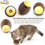 ARELLA Catnip Football Toy for Cats Catnip Refillable Scratcher Ball Kittys Faithful Playmate Reduce Obesity and Loneliness CSB06BR