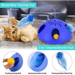 WINGPET Interactive Cat Tracks Toy Food Dispenser Toys, Automatic Motion Cat Toy with Spinning Worm Tail & Catnip Moving Ball Random Rotating Hunting Chasing Exercising Needs