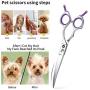 Grooming Pet Shear, 6.5 Inch Curved Scissors, Curved Shears for Cat Shears and Small Dog Shears Or Any Breed Trimming Cuts, Design for Professional Pet Groomer