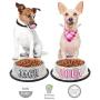 GPET Dog Bowl 32 Oz Stainless Steel Bowls with Anti-Skid Rubber Base for Food or Water Perfect Dish for Dog Puppy Cat and Kitten