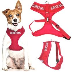 SERVICE DOG (Do Not Disturb/Dog Is Working) Blue Color Coded Non-Pull Front and Back D Ring Padded and Waterproof Vest Dog Harness PREVENTS Accidents By Warning Others Of Your Dog In Advance