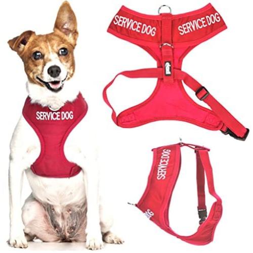 SERVICE DOG (Do Not Disturb/Dog Is Working) Blue Color Coded Non-Pull Front and Back D Ring Padded and Waterproof Vest Dog Harness PREVENTS Accidents By Warning Others Of Your Dog In Advance