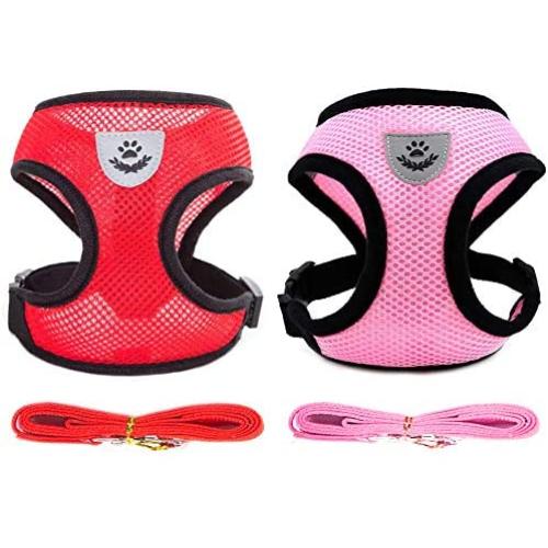 2 Pack Dog Leash Vest Harness Set for Small Medium Dogs Kitten Harness and Leash for Walking Soft Mesh Comfort Fit No Pull No Choke (Girl, S)