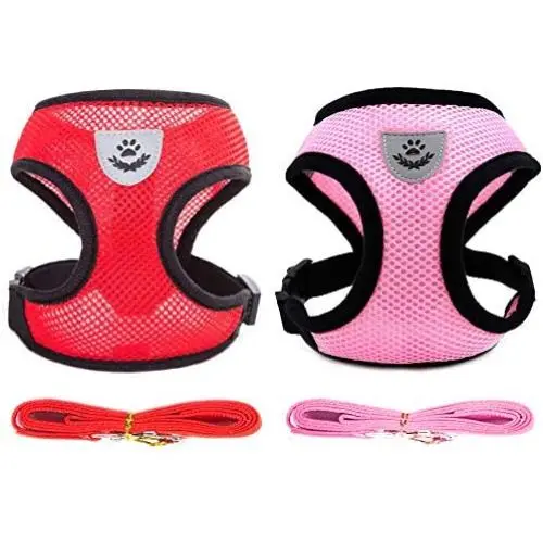2 Pack Dog Leash Vest Harness Set for Small Medium Dogs Kitten Harness and Leash for Walking Soft Mesh Comfort Fit No Pull No Choke (Girl, S) 2 Pack Dog Leash Vest Harness Set for Small Medium Dogs Kitten Harness and Leash for Walking Soft Mesh Comfort Fit No Pull No Choke (Girl, S)