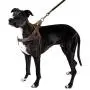 Beirui 1'' Width Genuine Leather Soft and Padded Dog Harness - Heavy Duty for Labrador German Shepherd Beirui 1'' Width Genuine Leather Soft and Padded Dog Harness - Heavy Duty for Labrador German Shepherd