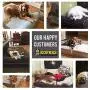 5.5 Inch Thick High Grade Orthopedic Memory Foam Dog Bed With Pillow and Easy to Wash Removable Cover with Anti-Slip Bottom. Free Waterproof Liner Included - for Large Breed Dogs 5.5 Inch Thick High Grade Orthopedic Memory Foam Dog Bed With Pillow and Easy to Wash Removable Cover with Anti-Slip Bottom. Free Waterproof Liner Included - for Large Breed Dogs