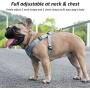 Surepet Dog Harnesses with Leash for Small Medium Dogs Adjustable,Reflective