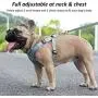 Surepet Dog Harnesses with Leash for Small Medium Dogs Adjustable,Reflective Surepet Dog Harnesses with Leash for Small Medium Dogs Adjustable,Reflective
