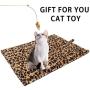 EXPAWLORER Self Heating Cat Pad for Pet, Warming Pet Bed Mat Safety Cat Pad with Leopard Print Great for Puppies and Cats in Cold Weather, Beige