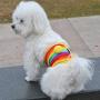POPETPOP Dog Pants Clothes Physiological Underwear Wrap Belly Band Nappy Pants Cotton Tighten Sanitary Briefs Pants for Male Dog Rainbow Size S