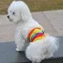 POPETPOP Dog Pants Clothes Physiological Underwear Wrap Belly Band Nappy Pants Cotton Tighten Sanitary Briefs Pants for Male Dog Rainbow Size S POPETPOP Dog Pants Clothes Physiological Underwear Wrap Belly Band Nappy Pants Cotton Tighten Sanitary Briefs Pants for Male Dog Rainbow Size S