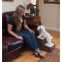 Pet Gear Easy Step II Pet Stairs, 2 Step for Cats/Dogs up to 75-pounds, Portable, Removable Washable Carpet Tread