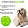 ACEONE Dog Squeaky Ball, Durable Pet Squeak Chew Bouncy Rubber Toy Balls for Small Large Dogs Indestructible Exercise Training Playing ACEONE Dog Squeaky Ball, Durable Pet Squeak Chew Bouncy Rubber Toy Balls for Small Large Dogs Indestructible Exercise Training Playing