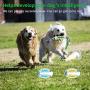 Brandless Dog Toothbrush Stick Dog Chew Toy for Aggressive Chewers Dog Teeth Cleaning Sticks for Puppies Puppy Chew Toys