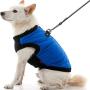 Gooby Fashion Dog Vest - Small Dog Sweater Bomber Dog Jacket Coat with D Ring Leash and Zipper Closure - Dog Clothes for Small Dogs Girl or Boy for Indoor and Outdoor Use
