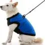 Gooby Fashion Dog Vest - Small Dog Sweater Bomber Dog Jacket Coat with D Ring Leash and Zipper Closure - Dog Clothes for Small Dogs Girl or Boy for Indoor and Outdoor Use