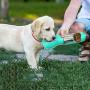 XCYY Portable Dog Water Bottle, Dog Water Bowl Dispenser,Made of Environmentally ABS Material,Multifunctional Integrated Design,with Water Cup,Poop Shovel,Dog Food Container,Garbage Bag,Lanyard,10oz