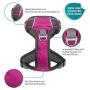 Embark Adventure Dog Harness, Easy On and Off with Front and Back Leash Attachments & Control Handle - No Pull Training, Size Adjustable and Non Choke