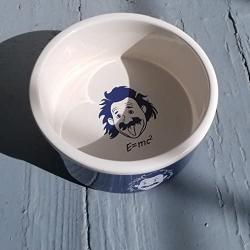 Einstein Designer Pet Dog Cat Ceramic Porcelain Feeding Bowl Food Water Feeder Blue White