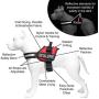 Industrial Puppy Emotional Support Dog Vest Harness with Reflective Straps, Interchangeable Patches, and Matching ESA Leash Set - ESA Dog Vest in 7 Adjustable Sizes
