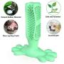 Slimology Dog Toothbrush Stick Safe Non Toxic Dog Pet Chew Toy, Dental Care Dog Chew Natural Rubber Bite Resistant Dog Tooth Brush, Long Lasting Puppy Chew Toys for Dogs Pet Oral Care