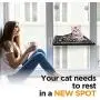 12 STAIR -cat Window Perch, cat Window Bed, cat Hammock, cat Window Perch for Large cat Window seat, cat Exercise, cat Window Perch for Holds Two Large Cats Safe,Window Shelf for Indoor 12 STAIR -cat Window Perch, cat Window Bed, cat Hammock, cat Window Perch for Large cat Window seat, cat Exercise, cat Window Perch for Holds Two Large Cats Safe,Window Shelf for Indoor