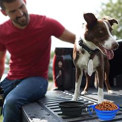 Collapsible Dog Bowl for Travel, 2 Pack Cat Food Bowls Dog Water Bowls with Lids, Portable Collapsable Pet Feeding Cup Dish for Walking Camping Kennels (450ML,15OZ)