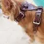PESHOUCO Leather Dog Harness No Pull Design Genuine Leather Durable Strong Pet Harness with Adjustable Straps Easy Control Pet Vest PESHOUCO Leather Dog Harness No Pull Design Genuine Leather Durable Strong Pet Harness with Adjustable Straps Easy Control Pet Vest