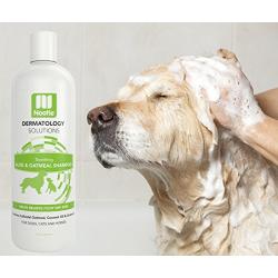 Nootie ❶ Dog Shampoo with Soothing Aloe Best for All Pets Including Dogs, Cats, and Horses - 100% All Natural Deodorizing Soap Free Formula Provides Itchy Skin Relief - 16 Oz.