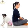 Sungrow Pet Diapers, for Female Dogs & Cats, Leak-Proof, Super Disposable Diapers, Convenient & Environmental Friendly, Secure & Comfortable Fit for Your Pets, 14-Pads