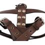 Genuine Leather Dog Harness Medium to Large 25''-32'' Chest, 1'' Wide Adjustable Straps