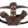 Genuine Leather Dog Harness Medium to Large 25''-32'' Chest, 1'' Wide Adjustable Straps Genuine Leather Dog Harness Medium to Large 25''-32'' Chest, 1'' Wide Adjustable Straps